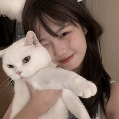 BOB半岛·体育官方平台