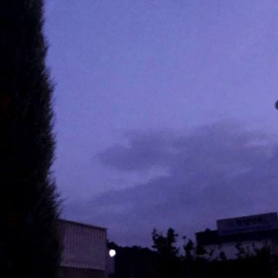 今期澳门三肖三码开一码手机app下载截图