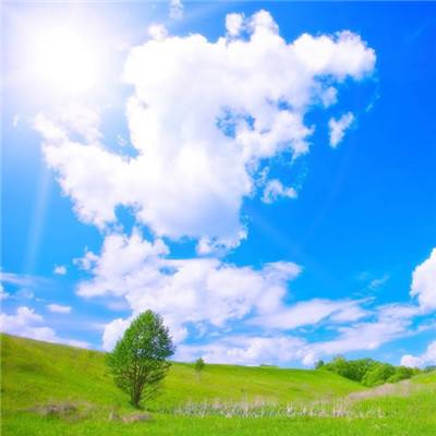 KOKapp手机app下载