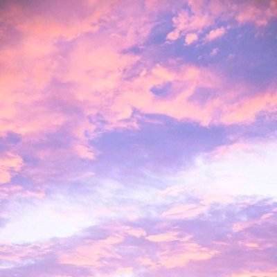 开云电竞手机app下载