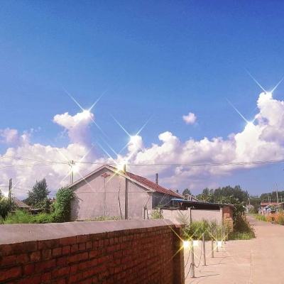 今期澳门三肖三码开一码手机app下载