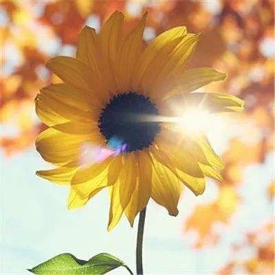 39153k1体育十年品牌值得信赖